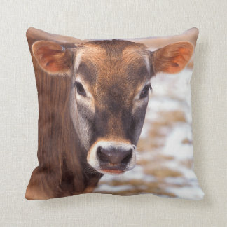 Coussin Visage de veau de vache