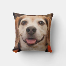 Votre animal de compagnie photo chat de chien pers