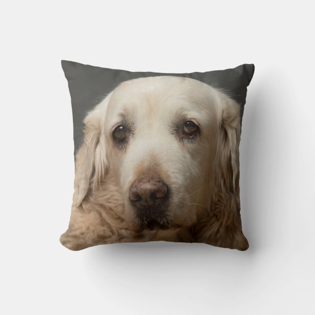 Coussin Votre photo d'animal de compagnie personnalisée ré (Recto)