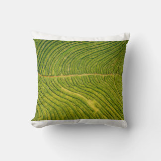 Coussin Vue aérienne du champ vert ouvert