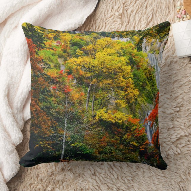 Coussin Vue pittoresque de l'automne Hagoromo Falls Hokkai (Couverture)