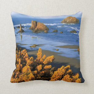 Coussin Vue Sur La Plage De L'Oregon À Bandon