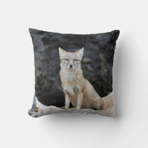 Coussin Vulpes corsac