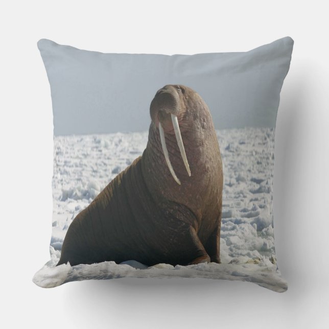 Coussin Walrus (Recto)