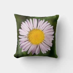 Coussin Washington, chaîne Cascade, Mont Baker