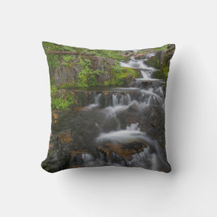 Coussin Washington, Parc national du mont Rainier 2