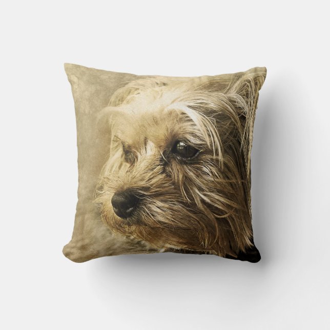 Coussin Yorkshire Terrier (Recto)