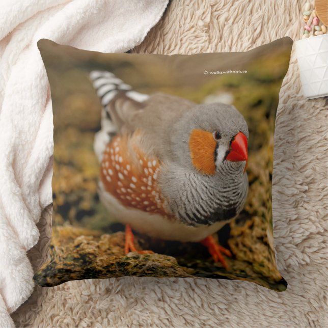 Coussin Zebra Finch Songbird sur les rochers (Couverture)