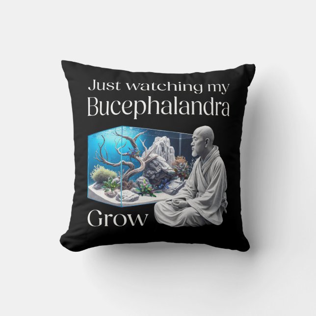 Coussin Zen and Bucephalandra (Recto)