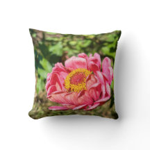 Zinnia rose avec Centre jaune