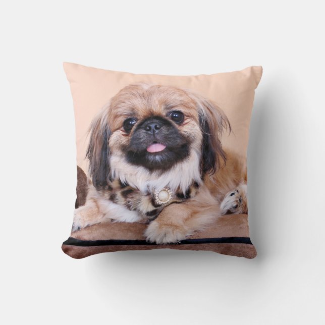 Coussin Zoe - Pekingese (Recto)