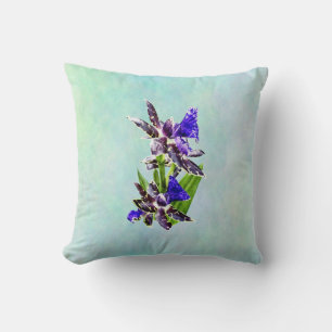 Coussin Zygo Advance Australia HOF