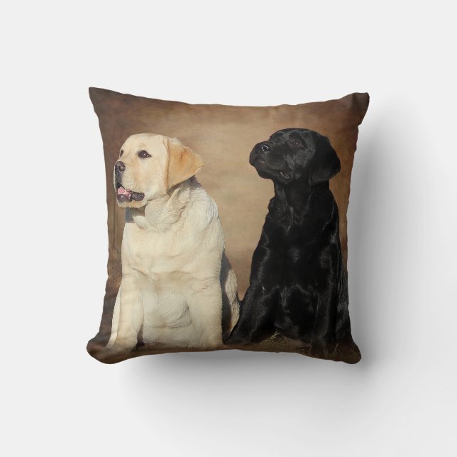 Coussins de chiot de labrador retriever (Recto)