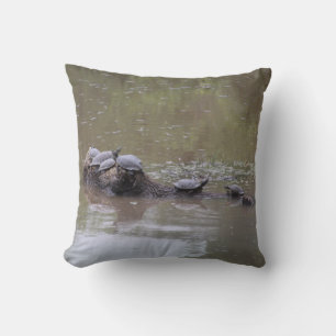 Coussins de tortues