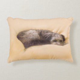 COUSSINS DÉCORATIFS 犬の眠り(アクセントクッション)