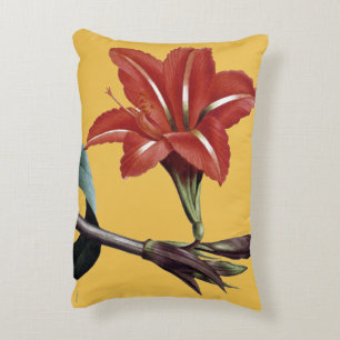 Coussins Décoratifs Amaryllis barrée
