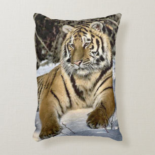 Coussins Décoratifs Amateurs de tigres