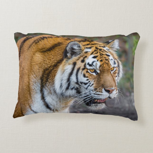 Coussins Décoratifs Amur tiger (Dos)