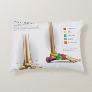 Coussins Décoratifs Anatomie des os de pieds