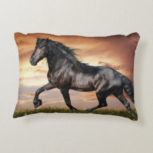 Coussins Décoratifs Beau Cheval Noir
