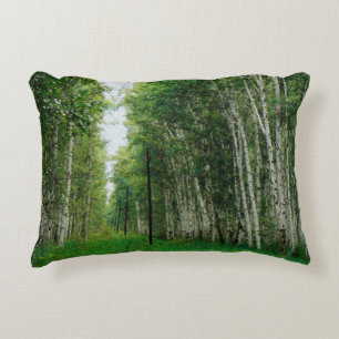 Coussins Décoratifs Belle forêt de bouleaux
