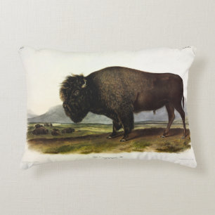 Coussins Décoratifs Bison américain, ou bison (bison) - Audubon
