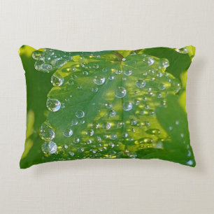 Coussins Décoratifs Boutons cool Sur Feuille Verte