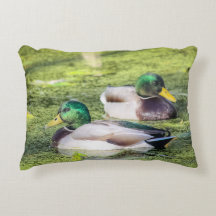 Canards-Majards Lance Oreiller