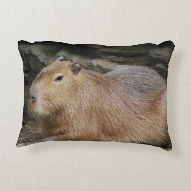 Coussins Décoratifs capybara-7 (Dos)