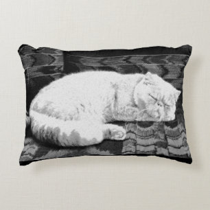 Coussins Décoratifs Chat persan blanc endormi
