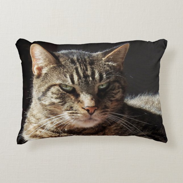 Coussins Décoratifs Chat tigré désagréable (Devant)