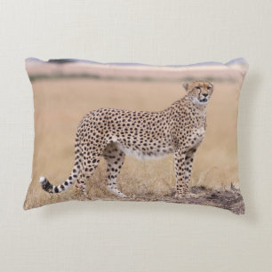 Coussins Décoratifs Cheetah