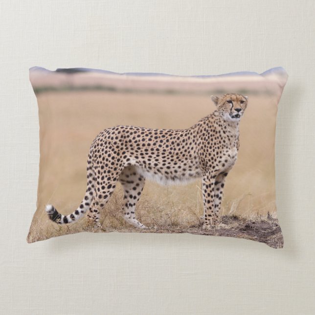 Coussins Décoratifs Cheetah (Dos)