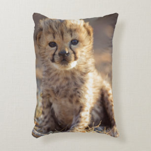 Coussins Décoratifs Cheetah 19 jours bébé mâle