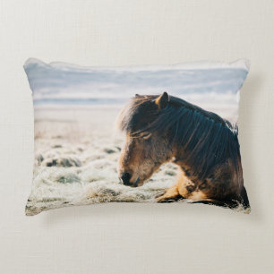 Coussins Décoratifs CHEVAL Brown SITUÉ SUR GRASS PRÈS DE LA PLAGE