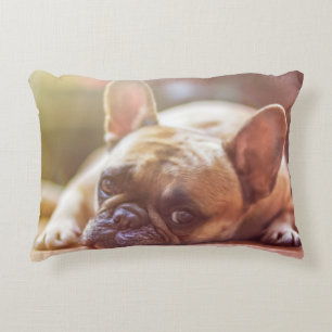 Coussins Décoratifs chien