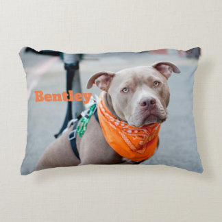 Coussins Décoratifs Chien Editable avec le Bandana