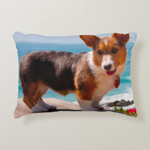 Coussins Décoratifs chiot de Pembroke Welsh Corgi debout sur une table