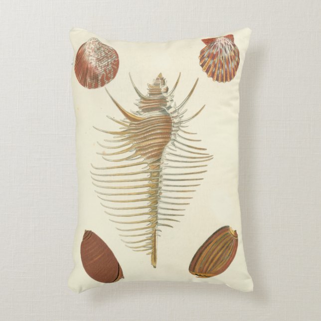 Coussins Décoratifs Cinq d'un coquillage (Devant(Vertical))