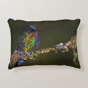 Coussins Décoratifs Colibri