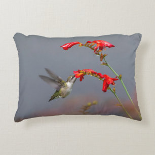 Coussins Décoratifs Colibri et Crocosmia