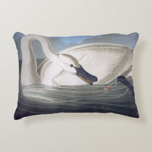 Coussins Décoratifs Cygne Trumpeter blanc vintage
