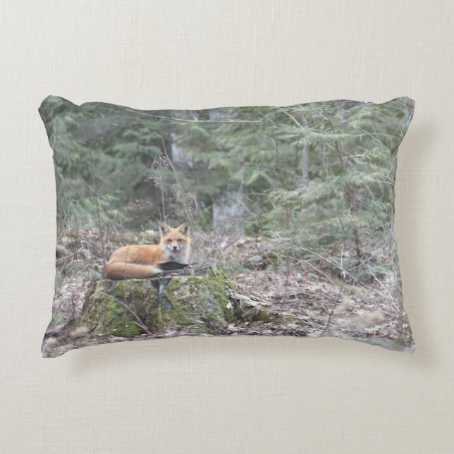 Coussins Décoratifs Décorateur faunique Fox (Devant)