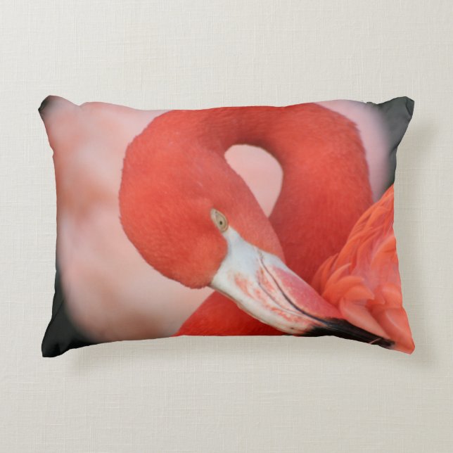 Coussins Décoratifs Flamant rose 001 (Devant)