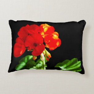 Coussins Décoratifs Fleur rouge de géranium