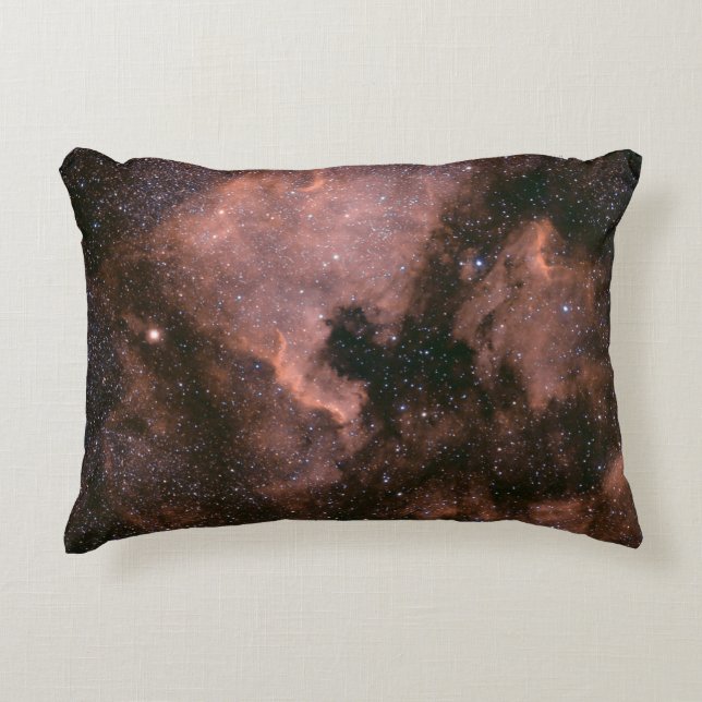 Coussins Décoratifs Galaxie à voie lactée (Devant)