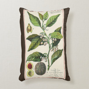 Coussins Décoratifs Graines de fruit de noix de muscade vintage, herbe