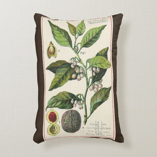 Coussins Décoratifs Graines de fruits Plantes de muscade vintage, Herb (Devant(Vertical))