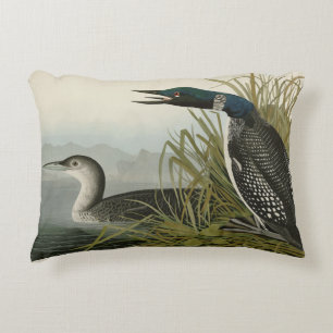 Coussins Décoratifs Grande plongeur du Nord Loon Audubon Oiseaux d'Amé