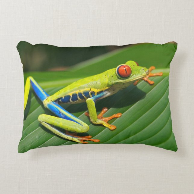 Coussins Décoratifs Grenouille d'arbre aux yeux rouges de vert (Devant)